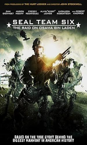  Seal Team Six The Raid on Osama Bin Laden (2012) Hindi Dual Audio BluRay 720p - 480p - 1080p movie poster