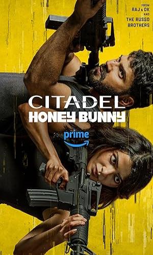 Citadel: Honey Bunny (2024) Hindi Web-DL 720p - 480p - 1080p movie poster