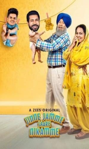  Jinne Jamme Saare Nikamme (2021) Punjabi  Web-DL 720p - 480p - 1080p movie poster