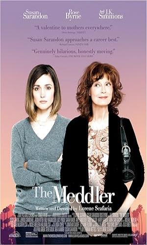  The Meddler (2015) Hindi Dual Audio Web-DL 720p - 480p - 1080p movie poster