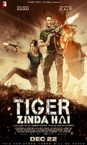  Tiger Zinda Hai (2017) Hindi  BluRay 720p - 480p - 1080p movie poster