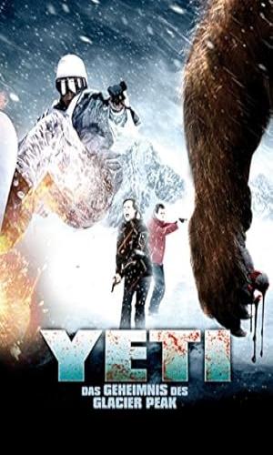  Deadly Descent (2013)  Hindi Dual Audio BluRay 720p - 480p - 1080p movie poster