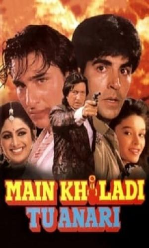  Main Khiladi Tu Anari (1994) Hindi  Web-DL 720p - 480p - 1080p movie poster