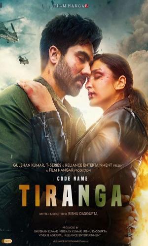 Code Name: Tiranga (2022) Hindi Web-DL 720p - 480p - 1080p movie poster