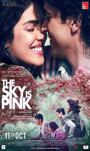  The Sky Is Pink (2019) Hindi  Web-DL 720p - 480p - 1080p movie poster