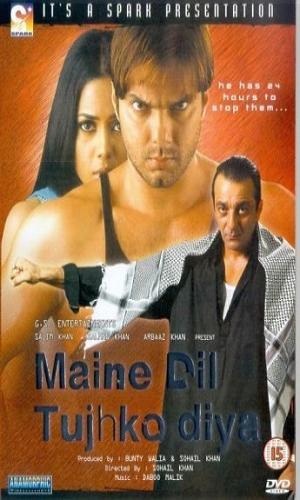  Maine Dil Tujhko Diya (2002) Hindi  Web-DL 720p - 480p - 1080p movie poster