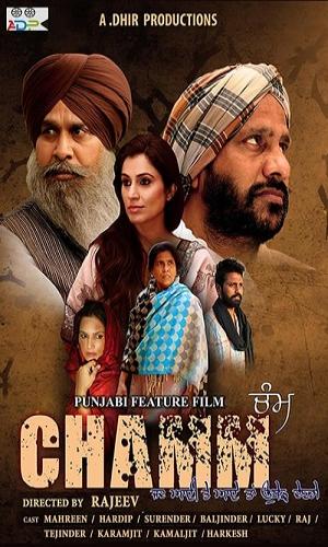  Chamm (2022) Punjabi  Web-DL 720p - 480p - 1080p movie poster