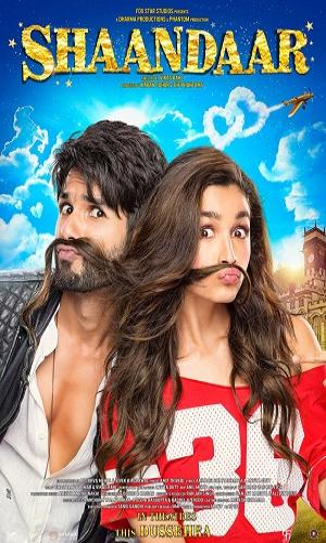  Shaandaar (2015) Hindi  BluRay 720p - 480p - 1080p movie poster