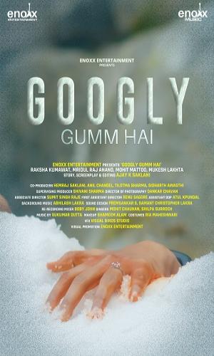  Googly Gumm Hai (2021) Hindi  Web-DL 720p - 480p - 1080p movie poster