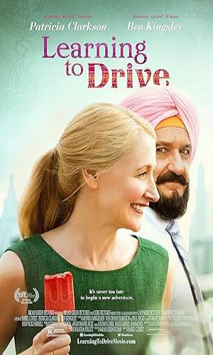  Learning to Drive (2014) Hindi Dual Audio Web-DL 720p - 480p - 1080p movie poster