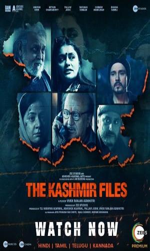  The Kashmir Files (2022) Hindi  Web-DL 720p - 480p - 1080p movie poster
