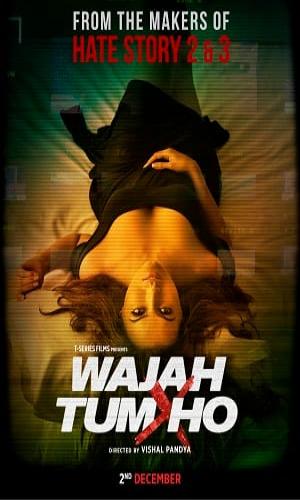 Wajah Tum Ho (2016) Hindi  Web-DL 720p - 480p - 1080p movie poster