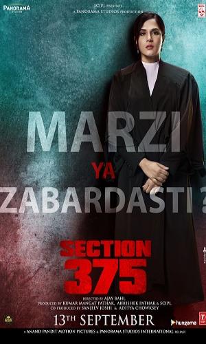  Section 375 (2019) Hindi  Web-DL 720p - 480p - 1080p movie poster